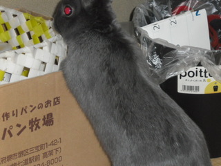 CIMG0117.JPG