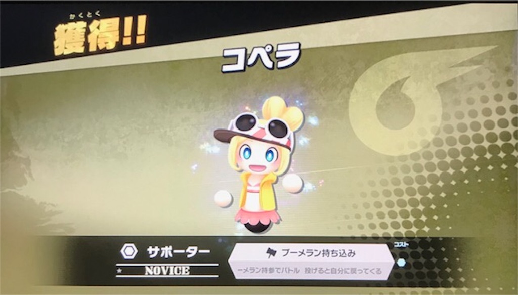 f:id:akirapuch:20190218083008j:image