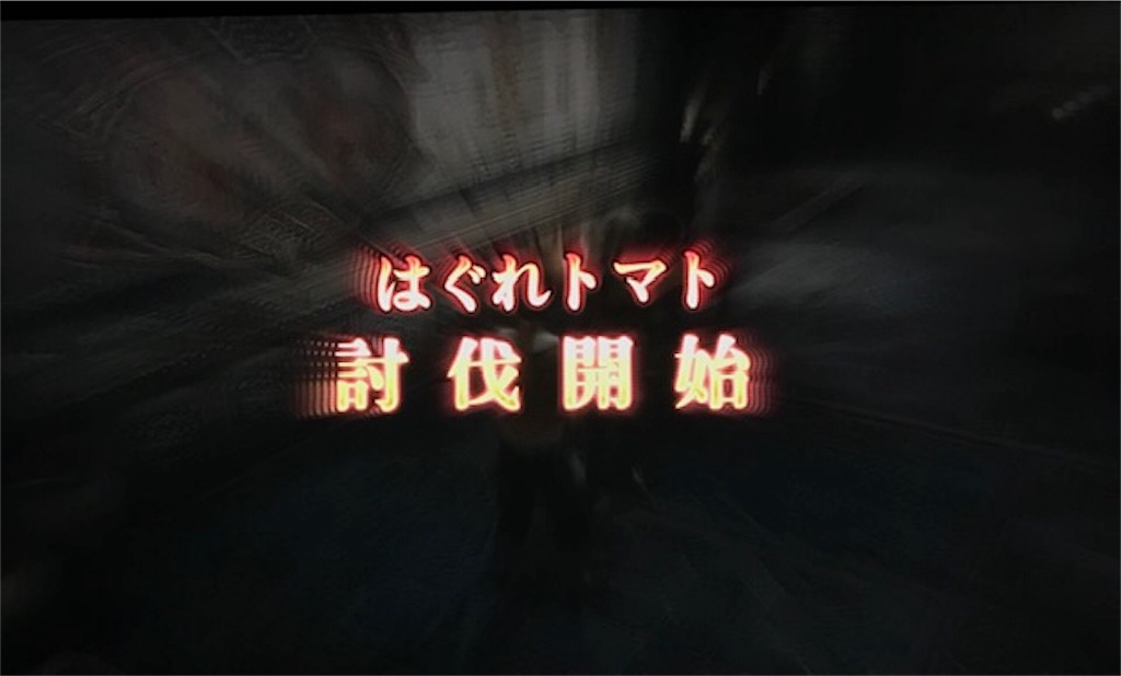 f:id:akirapuch:20190427110501j:image