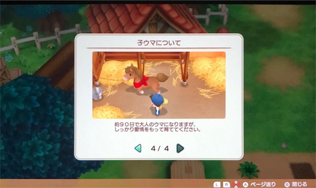 f:id:akirapuch:20191102093042j:image