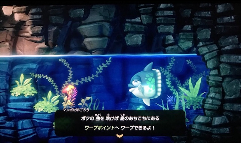 f:id:akirapuch:20191109082236j:image