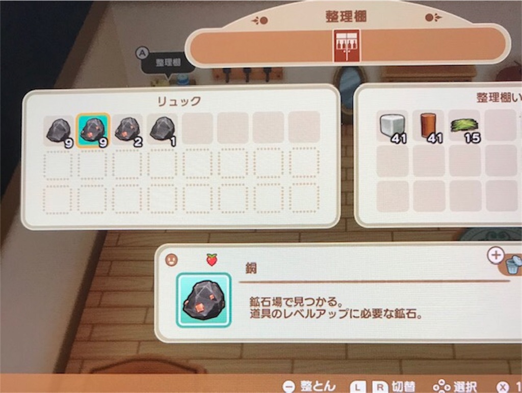 f:id:akirapuch:20191109100801j:image