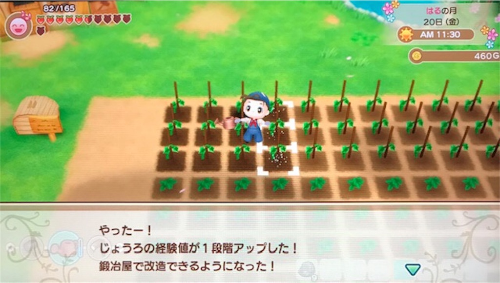 f:id:akirapuch:20191111134354j:image
