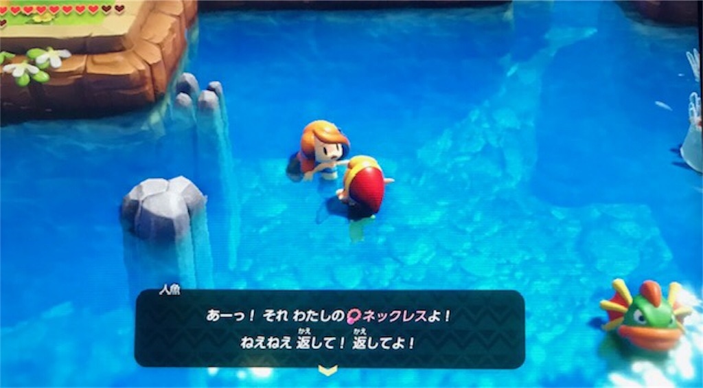 ゼルダ の 伝説 夢 を 見る 島 ナマズ の 大口