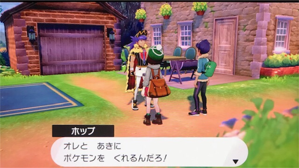 f:id:akirapuch:20191116081806j:image