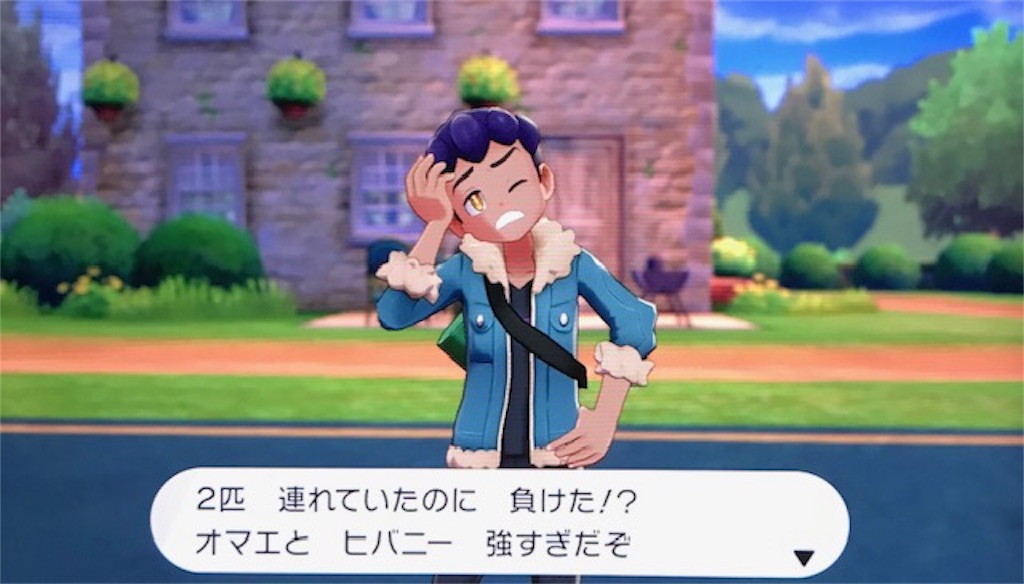 f:id:akirapuch:20191116084226j:image