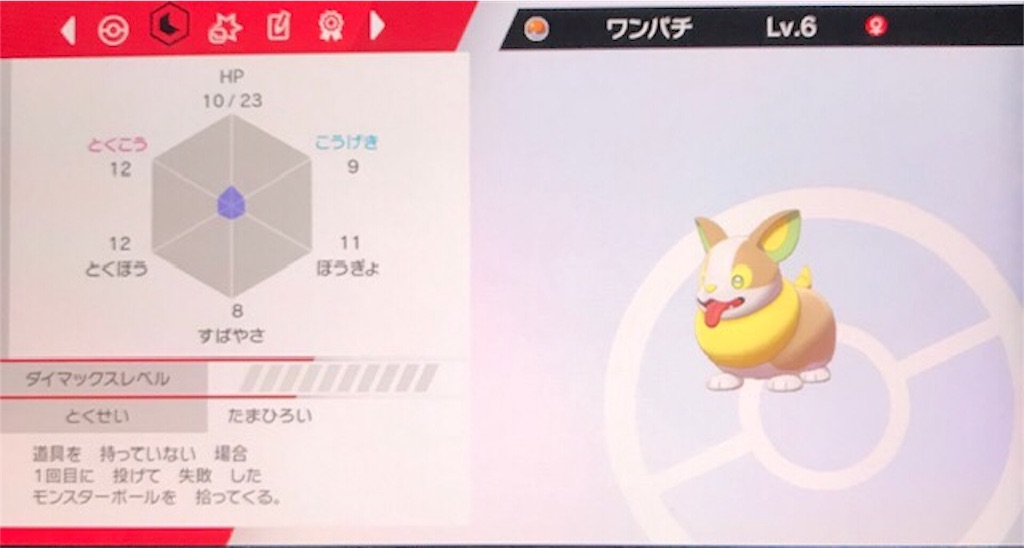 f:id:akirapuch:20191118081952j:image f:id:akirapuch:20191118081952j:image