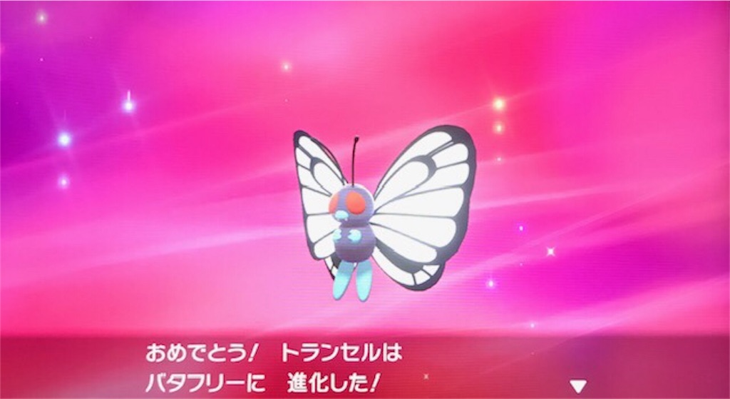 f:id:akirapuch:20191118082824j:image f:id:akirapuch:20191118082824j:image