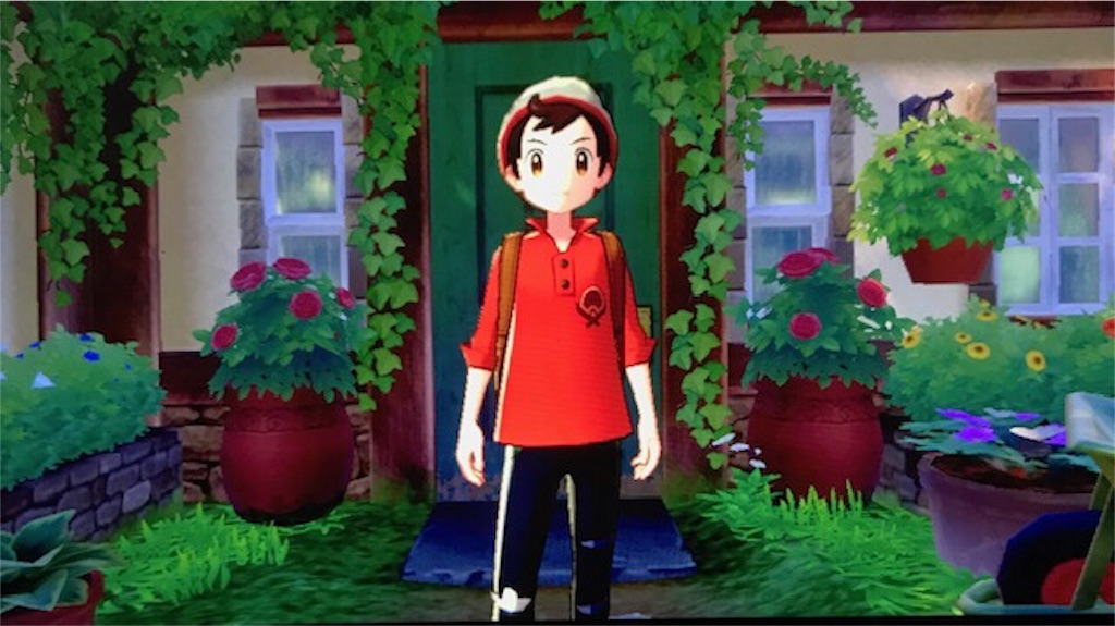 f:id:akirapuch:20191125092637j:image