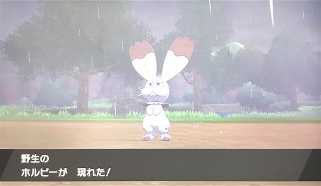 f:id:akirapuch:20191125104746j:image