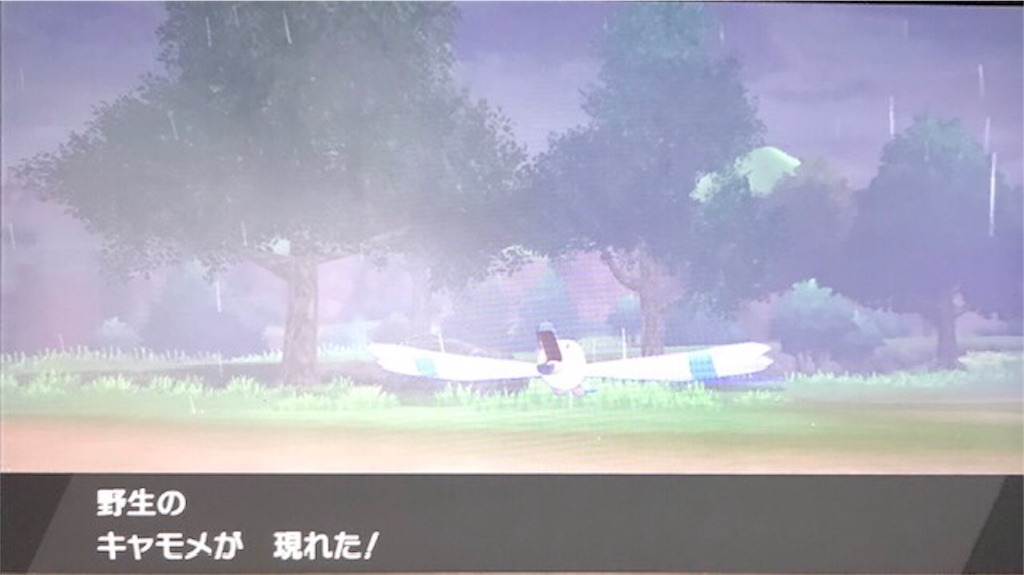 f:id:akirapuch:20191125104833j:image