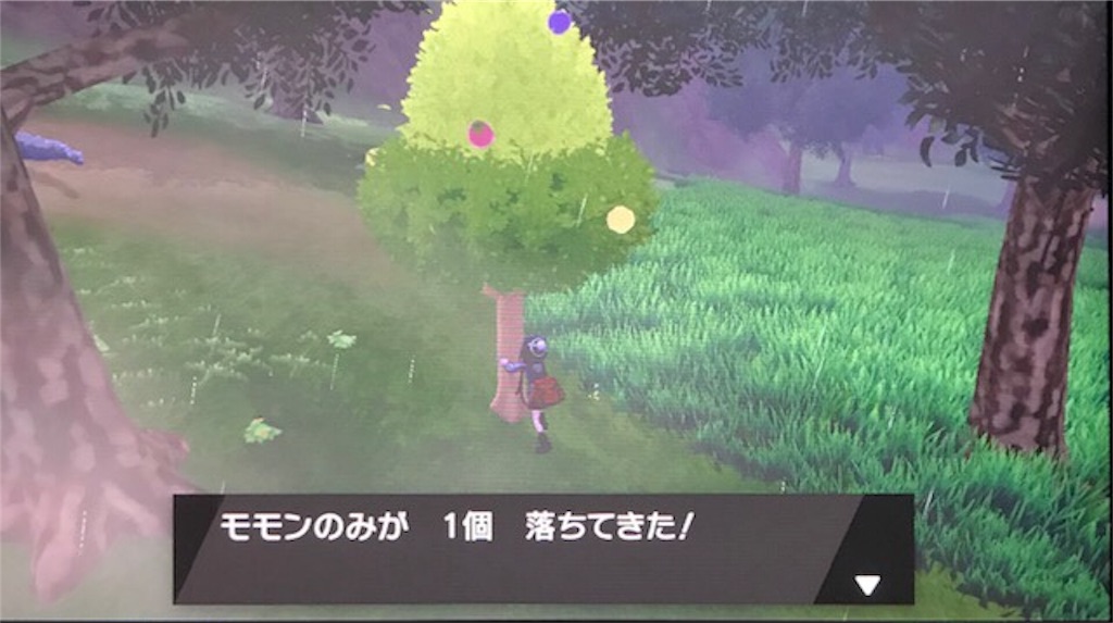 f:id:akirapuch:20191125110517j:image