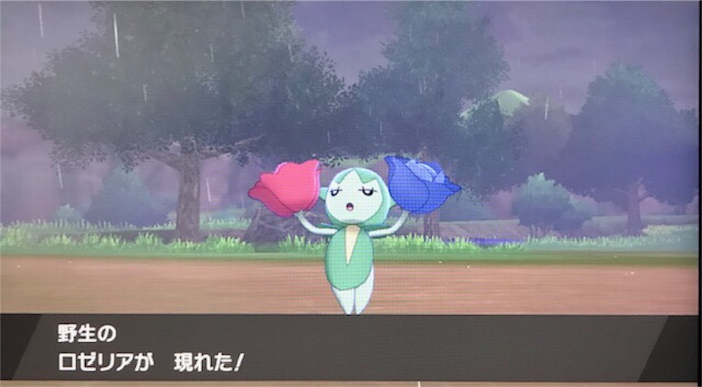 f:id:akirapuch:20191127084445j:image