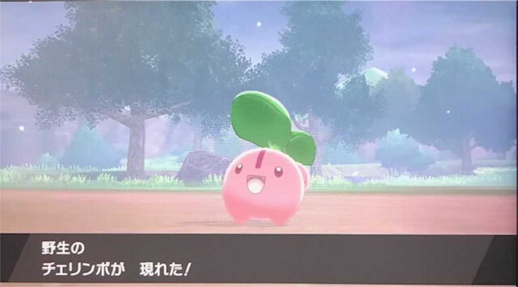 f:id:akirapuch:20191127085557j:image