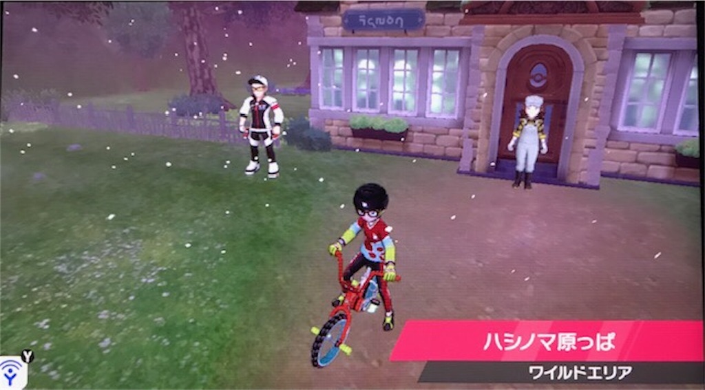 ポケモン剣盾プレイ日記その26 育成用に６v メタモン狙います 長い戦いの末にゲットしたのは あきののんびりゲームブログ