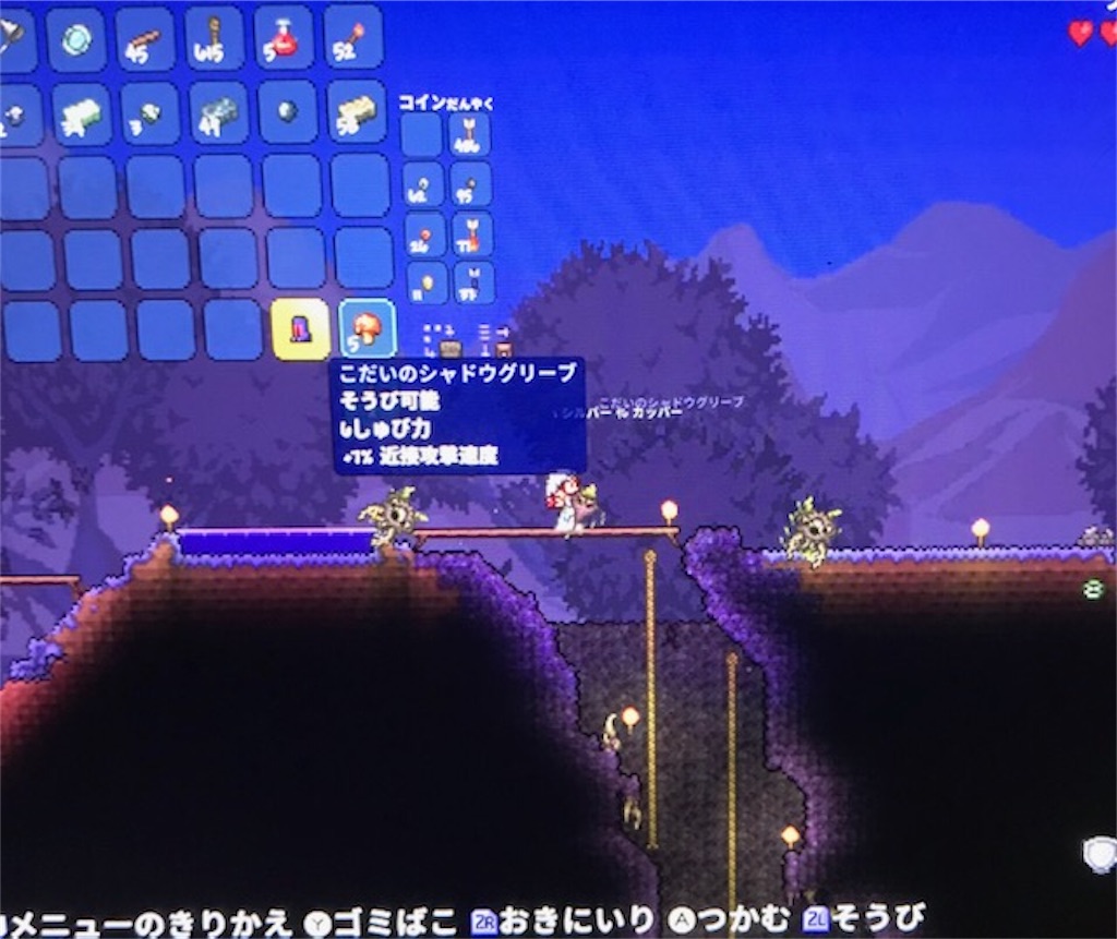 f:id:akirapuch:20191231110419j:image