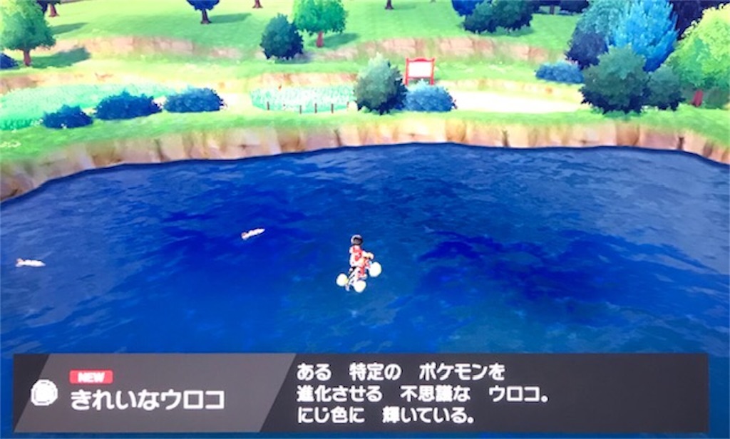 f:id:akirapuch:20200120083338j:image f:id:akirapuch:20200120083338j:image