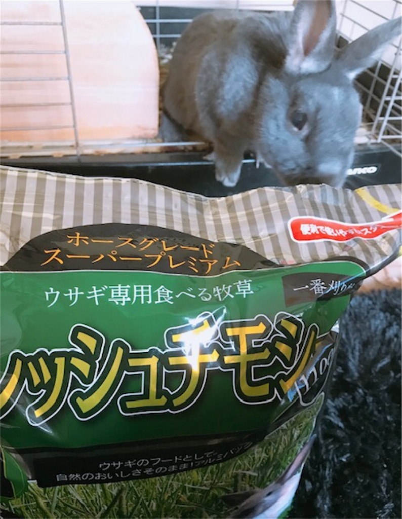 f:id:akirapuch:20200427094258j:image