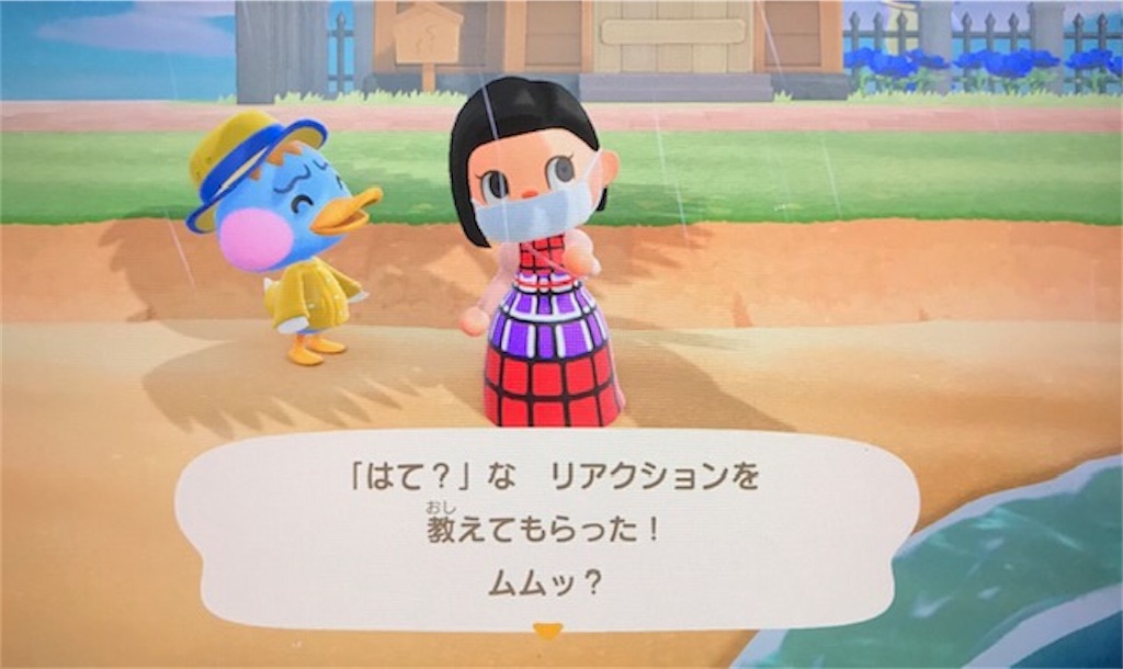 f:id:akirapuch:20200504095335j:image