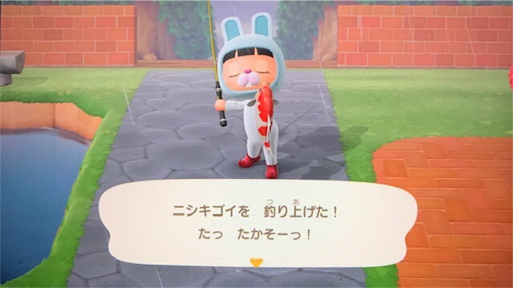 f:id:akirapuch:20200506094524j:image