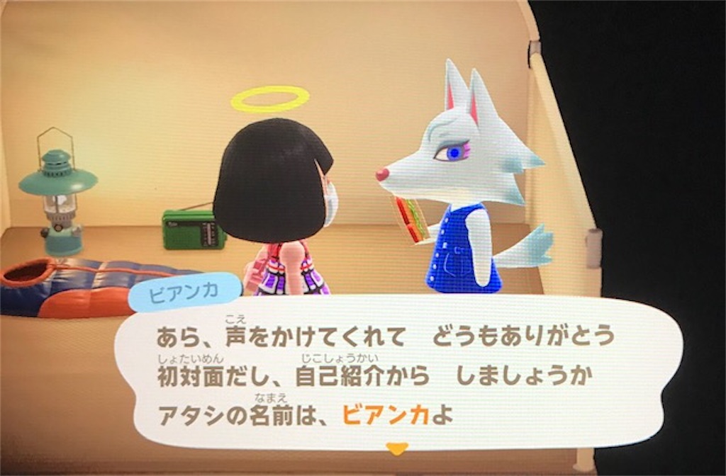 f:id:akirapuch:20200510080525j:image