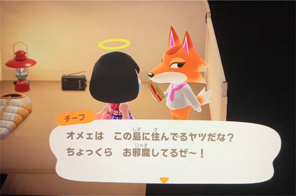 f:id:akirapuch:20200518080832j:image f:id:akirapuch:20200518080832j:image