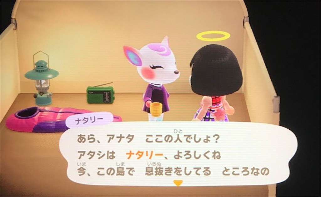 f:id:akirapuch:20200519081706j:image