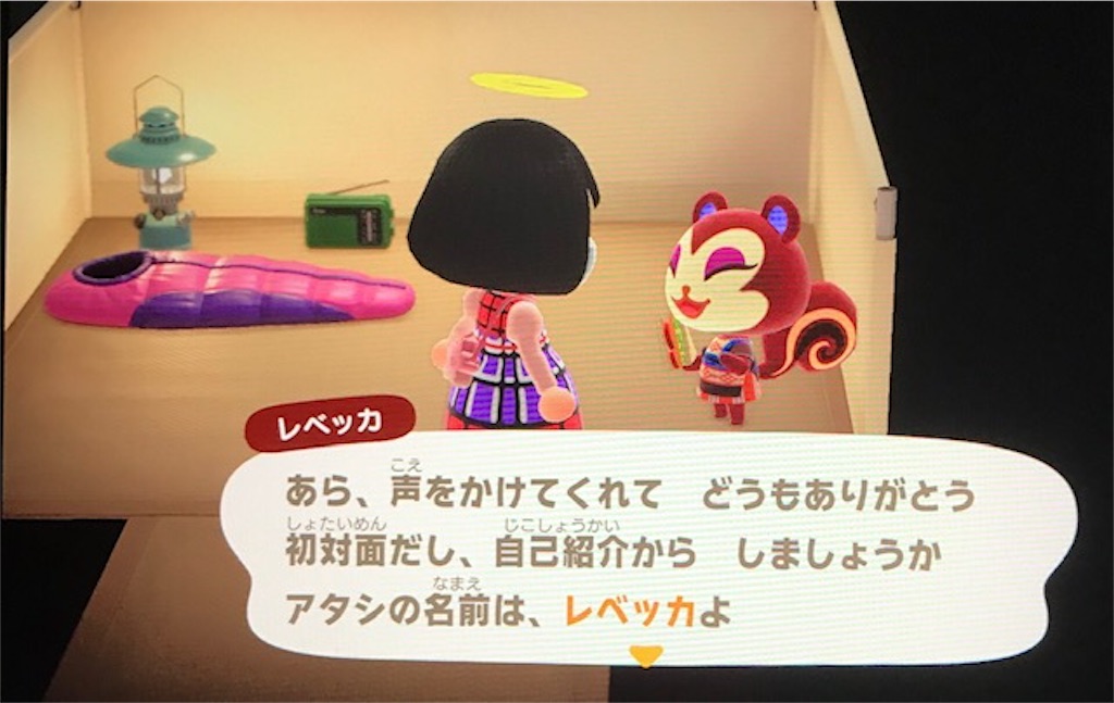 f:id:akirapuch:20200519081709j:image