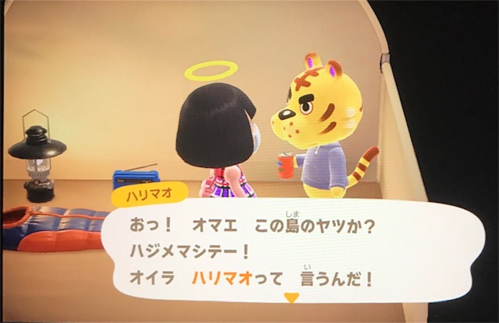 f:id:akirapuch:20200519081809j:image
