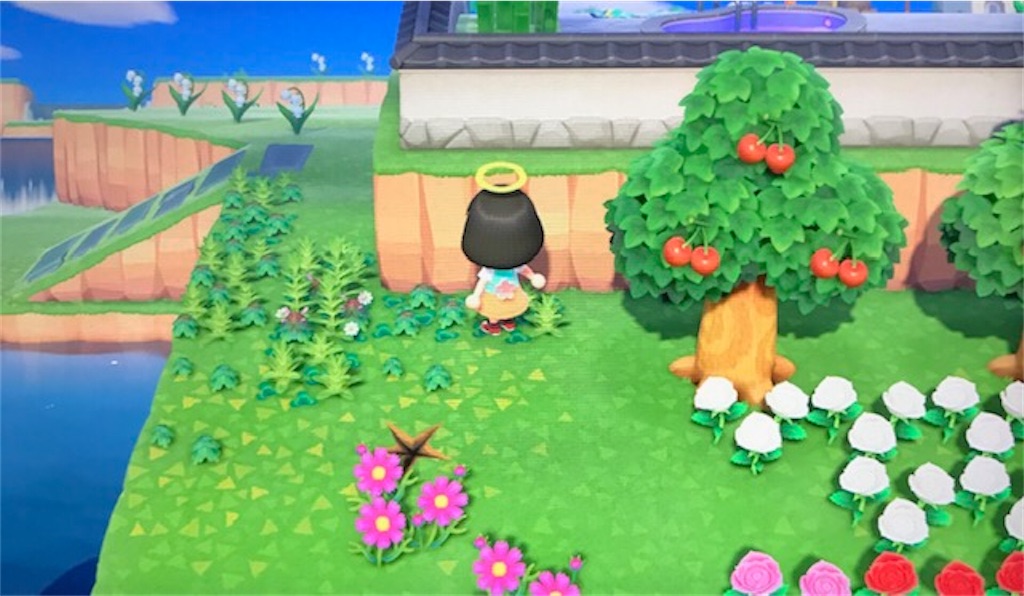 f:id:akirapuch:20200523081440j:image f:id:akirapuch:20200523081440j:image