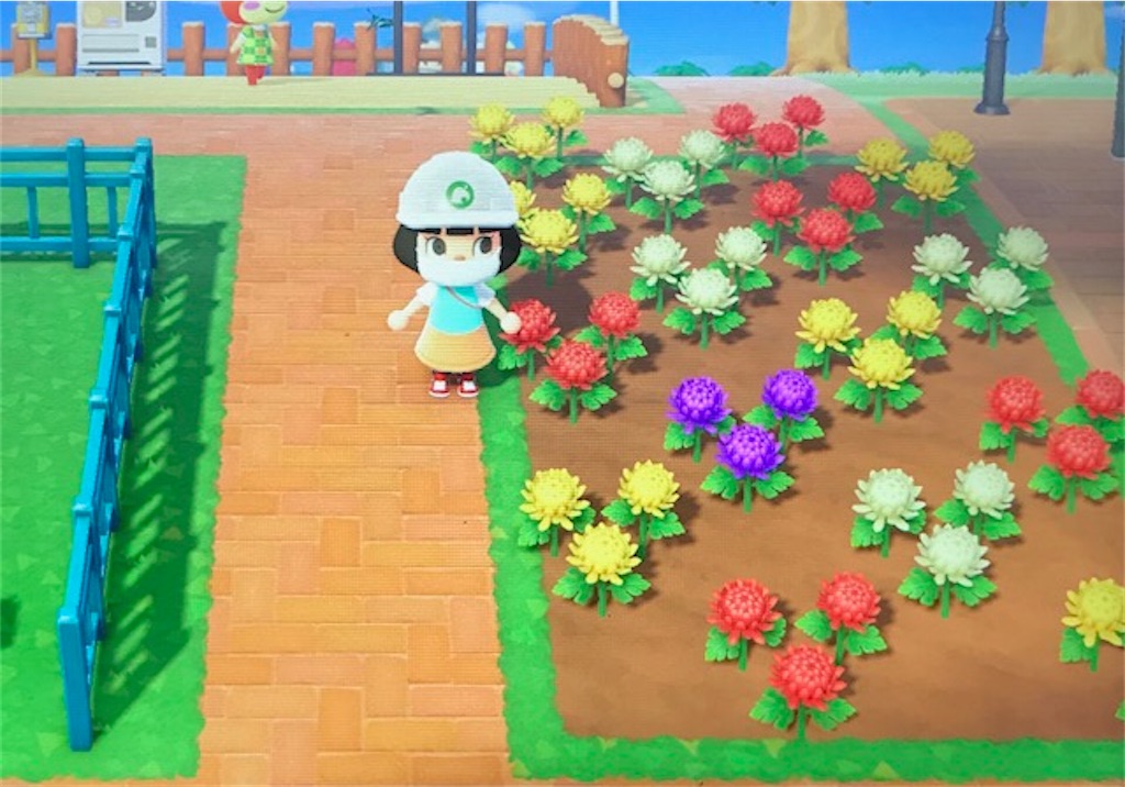 f:id:akirapuch:20200610083250j:image