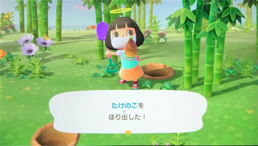 f:id:akirapuch:20200611080121j:image f:id:akirapuch:20200611080121j:image