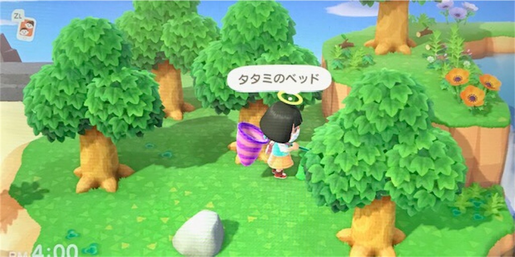 f:id:akirapuch:20200611080150j:image f:id:akirapuch:20200611080150j:image