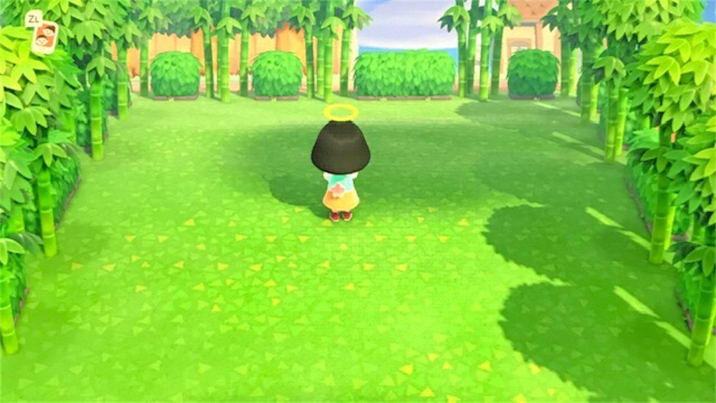 f:id:akirapuch:20200611080228j:image f:id:akirapuch:20200611080228j:image