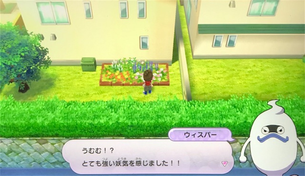 f:id:akirapuch:20200615095737j:image f:id:akirapuch:20200615095737j:image