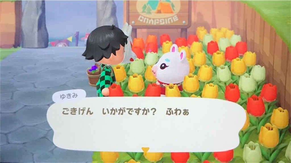f:id:akirapuch:20201001082411j:image