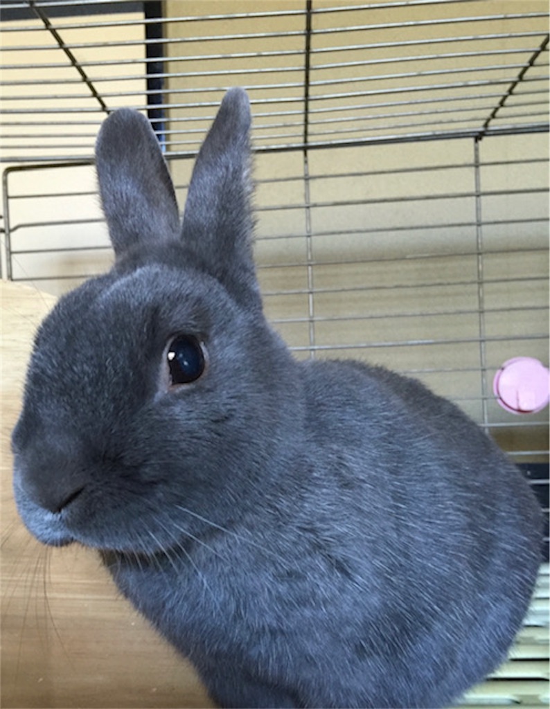 f:id:akirapuch:20210114085520j:image f:id:akirapuch:20210114085520j:image