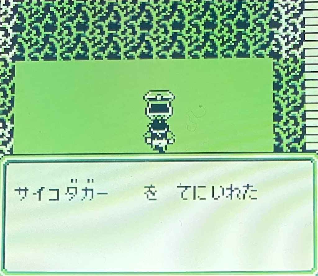 f:id:akirapuch:20210126105217j:image f:id:akirapuch:20210126105217j:image