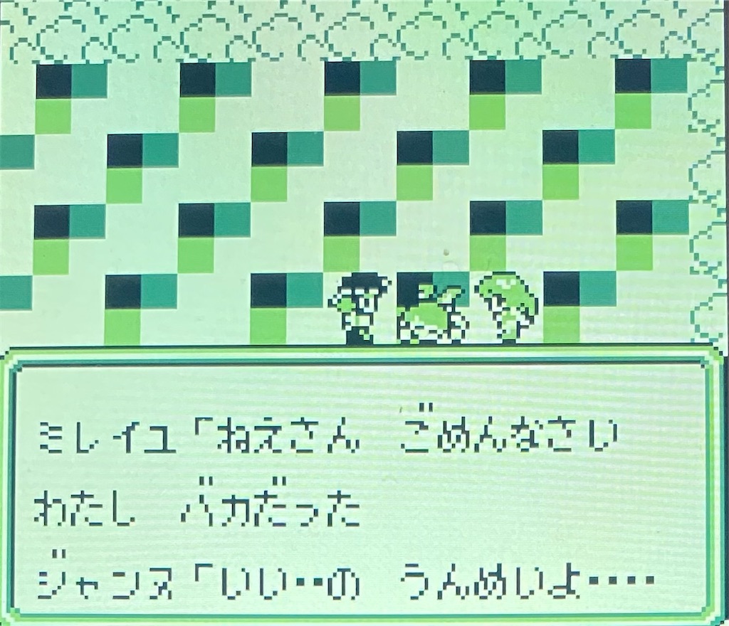 f:id:akirapuch:20210127082742j:image f:id:akirapuch:20210127082742j:image