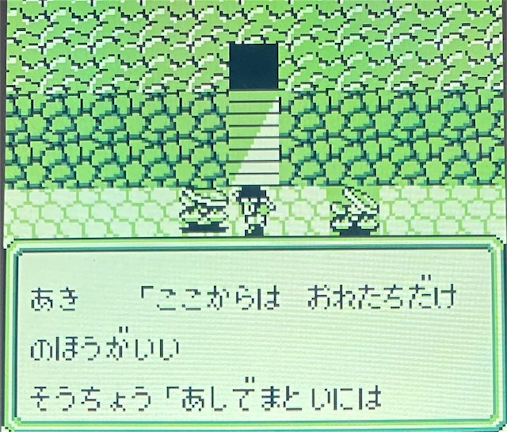 f:id:akirapuch:20210127175255j:image