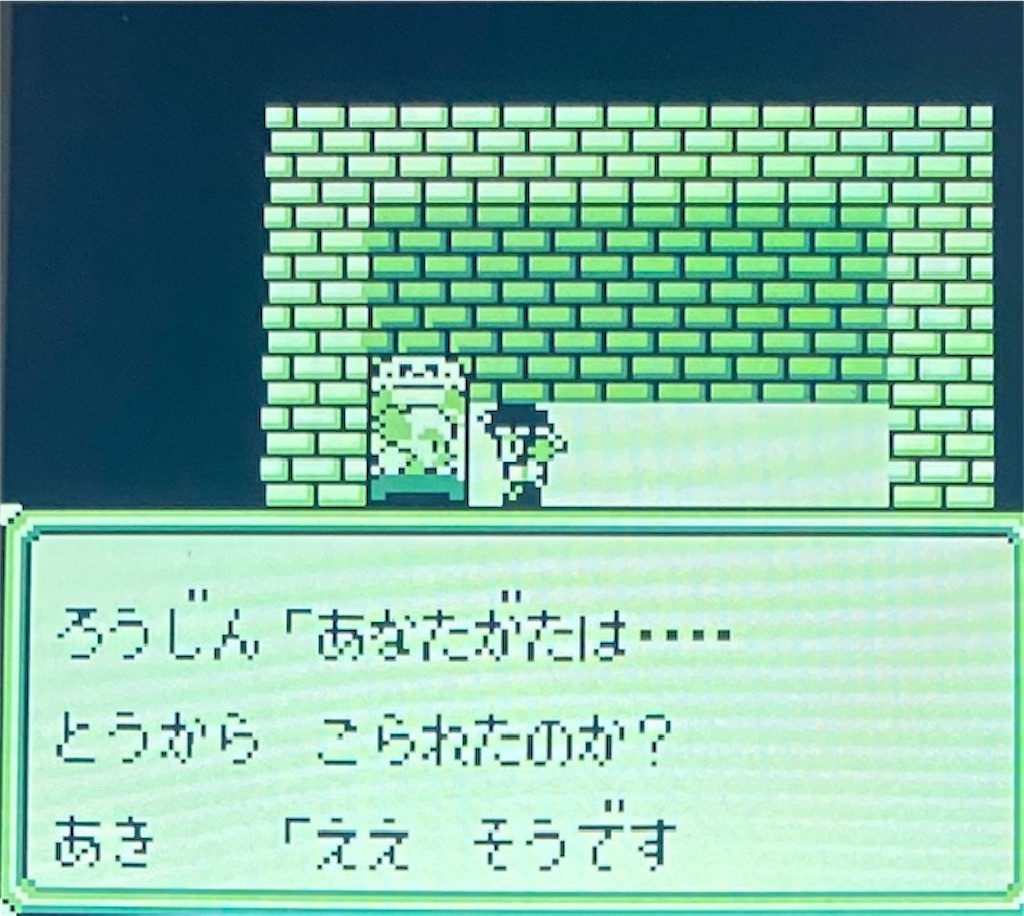 f:id:akirapuch:20210127181134j:image