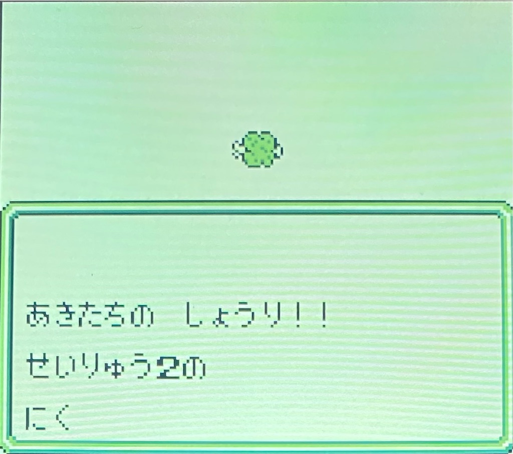 f:id:akirapuch:20210127182930j:image