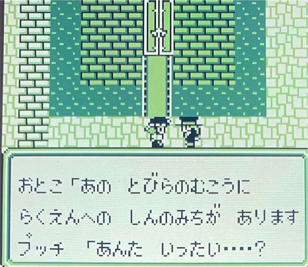 f:id:akirapuch:20210127183002j:image