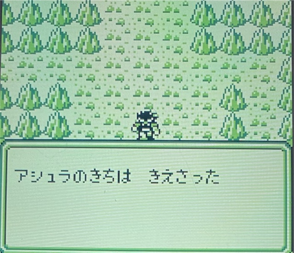 f:id:akirapuch:20210130170444j:image
