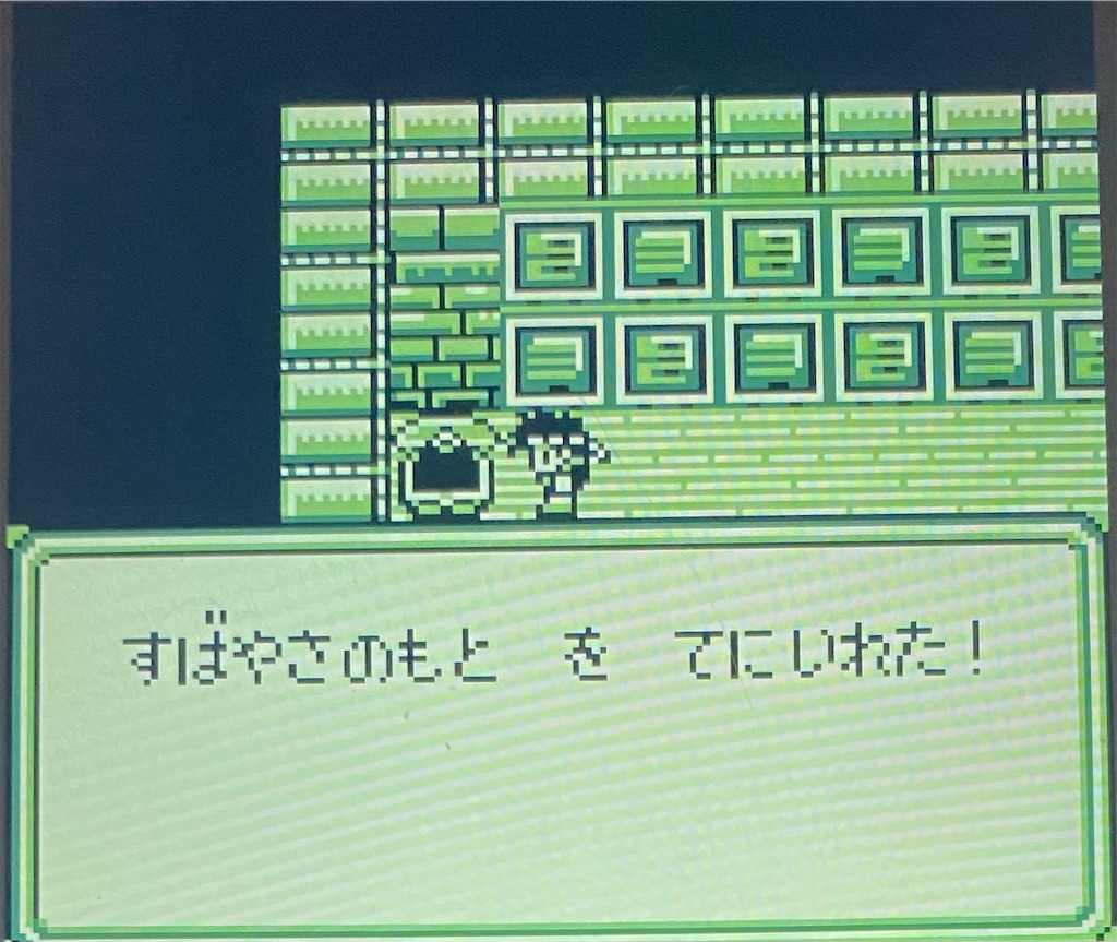 f:id:akirapuch:20210130170458j:image