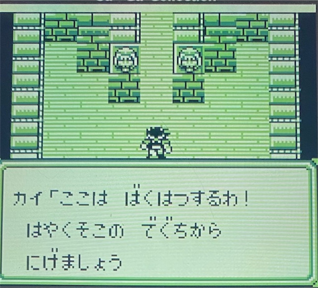 f:id:akirapuch:20210130170530j:image