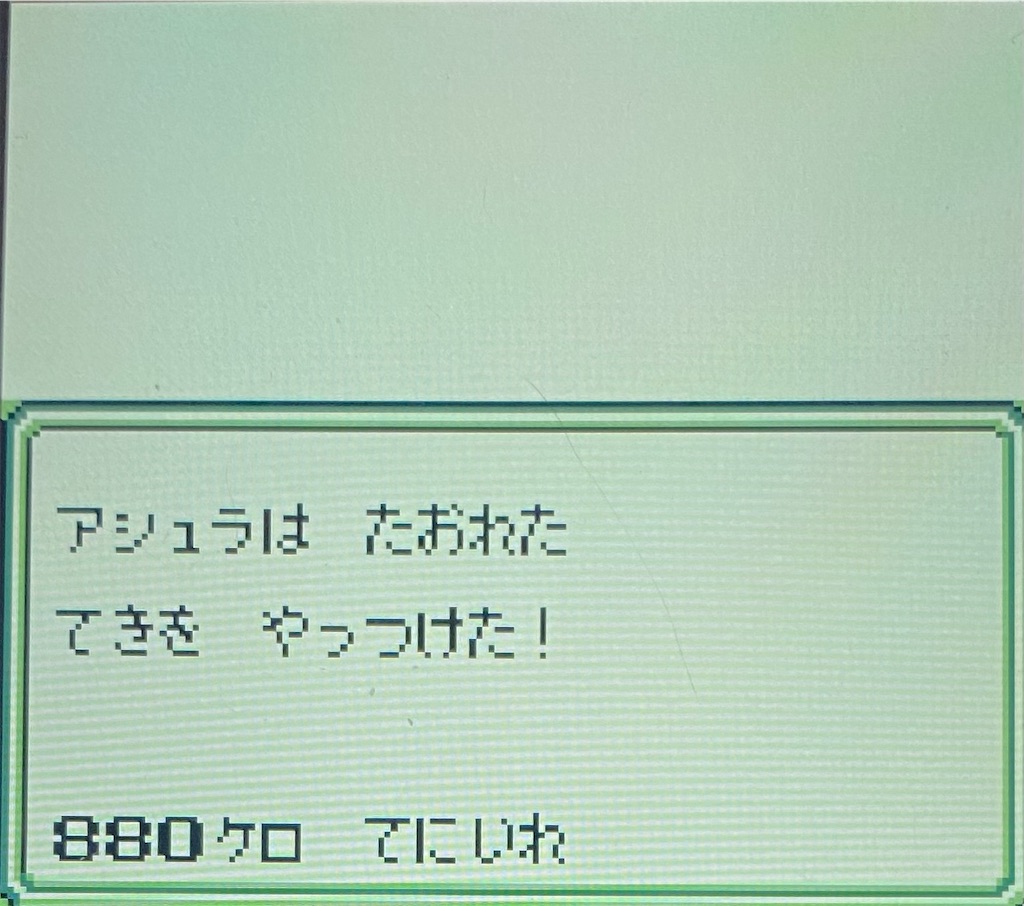 f:id:akirapuch:20210130173318j:image
