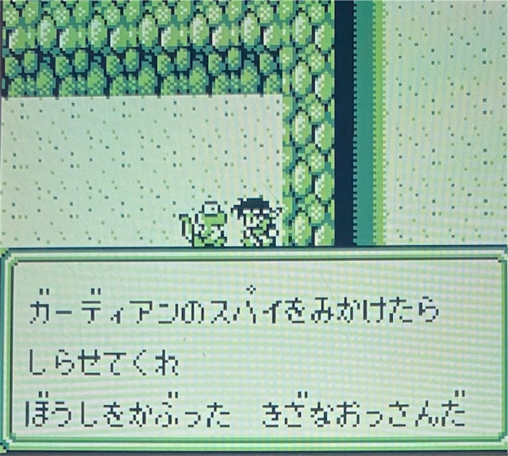 f:id:akirapuch:20210130173347j:image