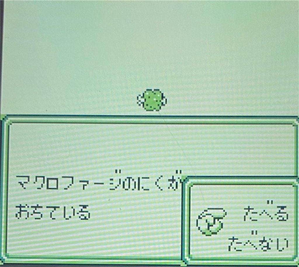 f:id:akirapuch:20210130180627j:image