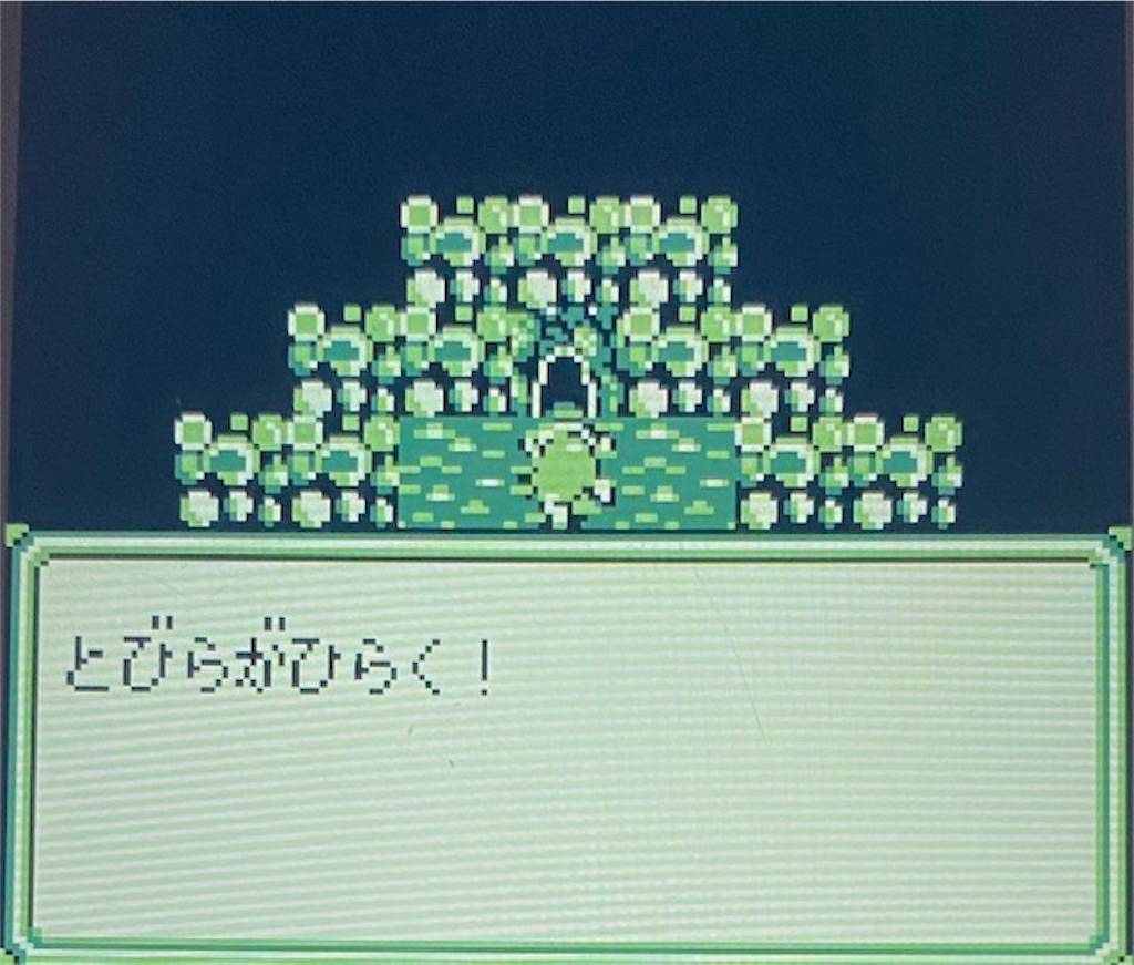 f:id:akirapuch:20210130180720j:image